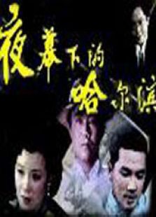 夜幕下的哈尔滨[84版]
