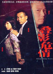 叠影危情电视剧全集