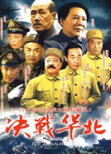 决战华北电视剧全集