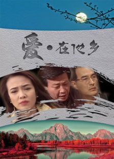 爱在他乡电视剧全集