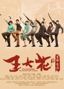 王大花的革命生涯TV版电视剧全集