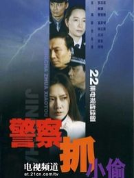 警察抓小偷电视剧全集