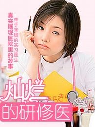 闪亮的进修医生电视剧全集