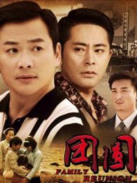团圆内地版电视剧全集