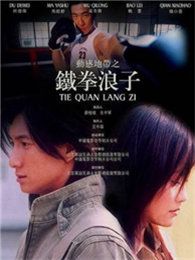 铁拳浪子电视剧全集