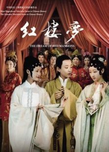 新红楼梦[2010版]