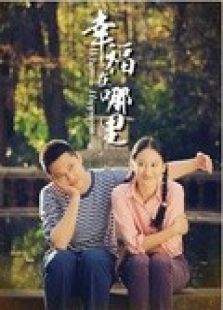 幸福在哪里[王雷版]