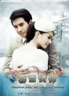 名门绅士之暮雪情钟