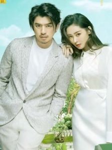鳄鱼与牙签鸟:精彩放送