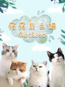 花花与三猫CatLive 2019