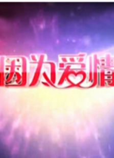 因为爱情