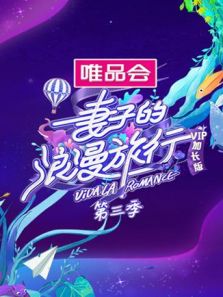 妻子的浪漫旅行3 VIP加长版
