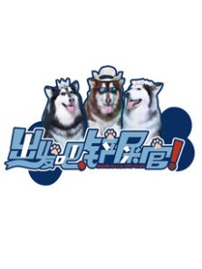 出发吧铲屎官