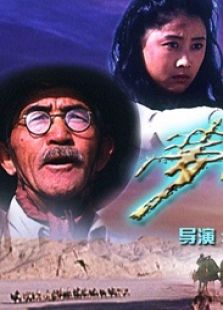 梦断楼兰(2009年) 8.